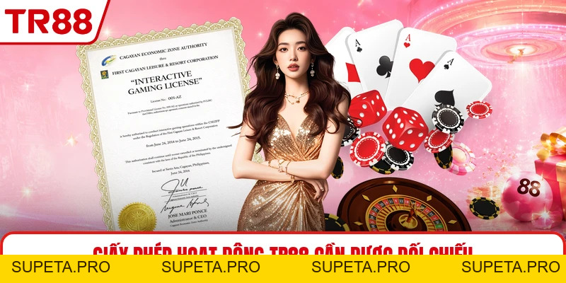 Giấy Phép Hoạt Động TR88 - Thông Tin Pháp Lý Cần Biết