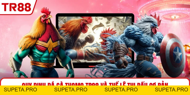 Đá Gà Thomo TR88 - Theo Dõi Trận Đấu Sát Diễn Biến