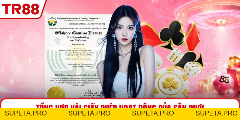 Giấy Phép Hoạt Động TR88 - Thông Tin Pháp Lý Cần Biết